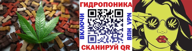 как найти наркотики  Володарск  Cannafood марихуана 