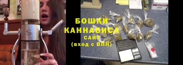 мяу мяу мука Бородино