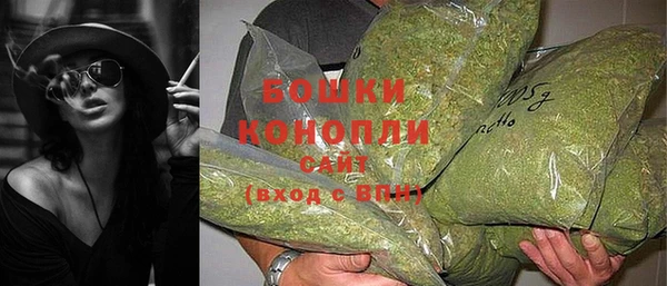 трава Ахтубинск
