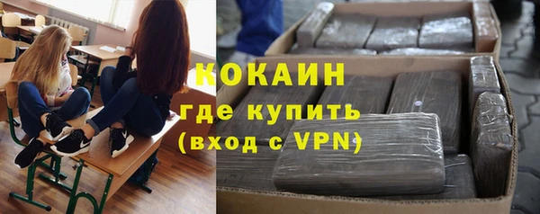 мяу мяу мука Бородино