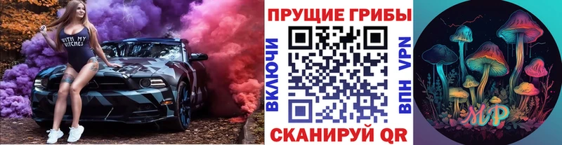 Псилоцибиновые грибы Psilocybe  хочу   Володарск 