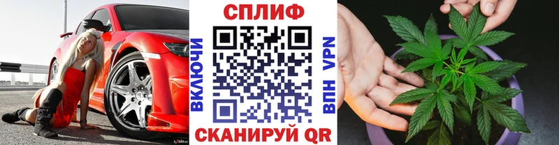 Бошки марихуана SATIVA & INDICA  как найти   Володарск 